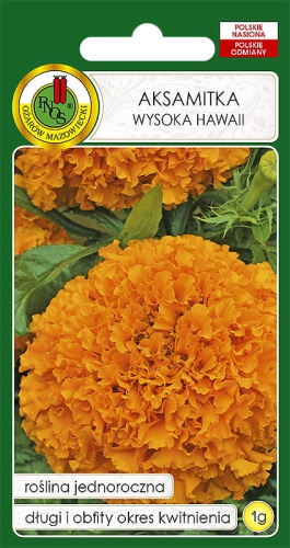 PNOS AKSAMITKA WYSOKA HAWAI 1G