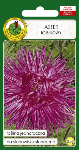 PNOS ASTER IGIEŁKOWY WIŚNIOWY 0,8G