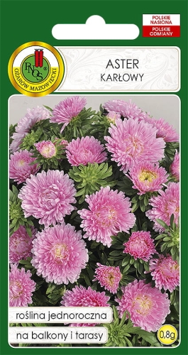 PNOS ASTER KARŁOWY JASNY RÓŻ 0,8G
