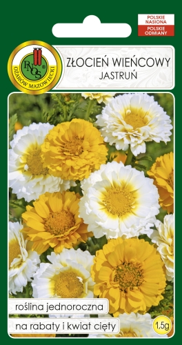 PNOS ZŁOCIEŃ JASTRUM 1,5G