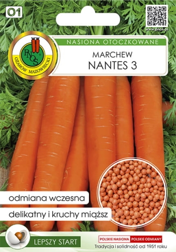 PNOS MARCHEW JADALNA NANTES 3   OT