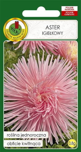 PNOS ASTER IGIEŁKOWY JASNY RÓŻ 0,8G