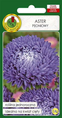 PNOS ASTER PEONIOWY FIOLETOWY 0,8G