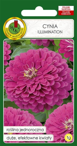 PNOS CYNIA DALIOWA RÓŻOWA 1G