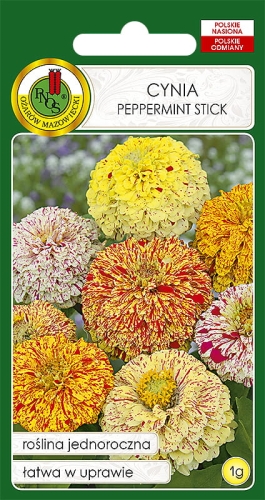 PNOS CYNIA DALIOWA PEPPERMINT STICK MIESZANKA 1G