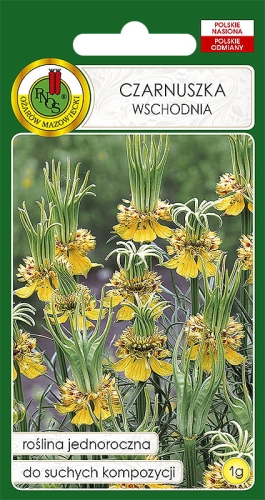 PNOS CZARNUSZKA WSCHODNIA 1G