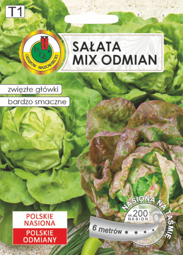 PNOS SAŁATA GŁOWIASTA MASŁOWA JUBILATKA+EDYTA OŻAROWSKA  6m