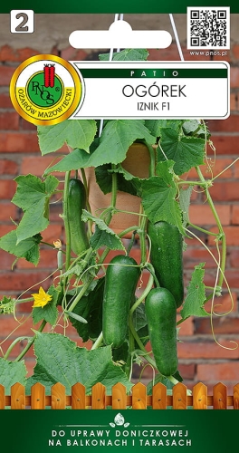 PNOS OGÓREK IZNIK 10SZT
