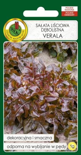 PNOS SAŁATA DĘBOLISTNA VERALA 1G