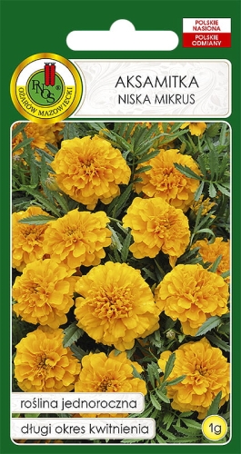PNOS AKSAMITKA NISKA MIKRUS 1G