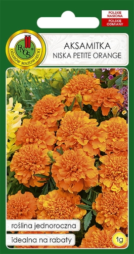 PNOS AKSAMITKA NISKA PETTITE ORANGE 1G
