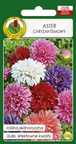 PNOS ASTER CHRYZANTEMOWY MIX 0,8G