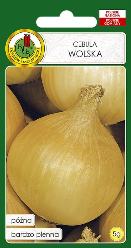 PNOS CEBULA WOLSKA 5G