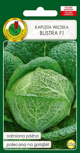 PNOS KAPUSTA WŁOSKA BISTRAL F1