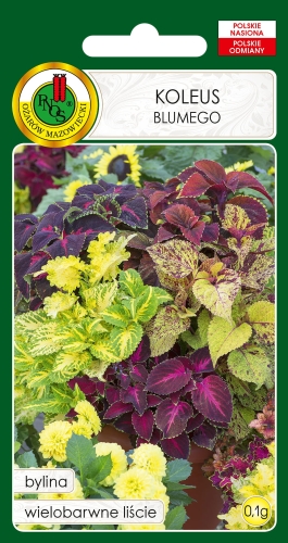 PNOS KOLEUS BLUMEGO MIX 0,1G