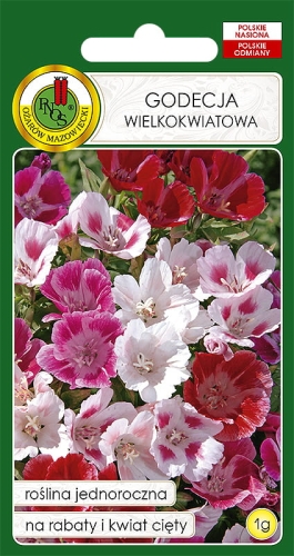 PNOS GODECJA WLK KWIAT 1G