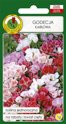 PNOS GODECJA KARŁOWA MIESZANA 1G