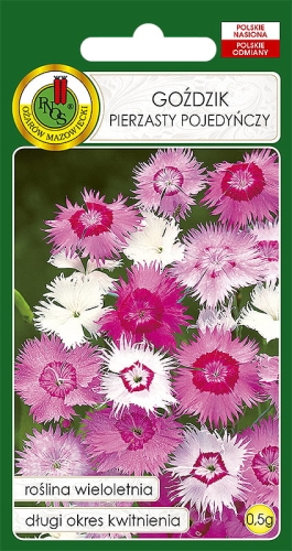 PNOS GOŹDZIK PIERZASTY POJEDYŃCZY MIX 0.5G