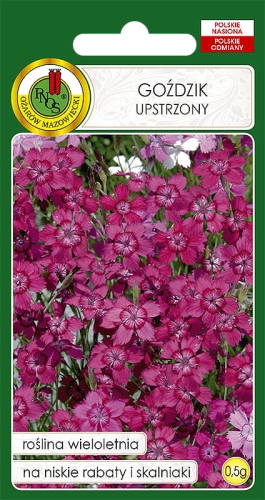 PNOS GOZDZIK UPSTRZONY 0,5G