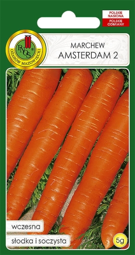 PNOS MARCHEW AMSTERDAM2  5G