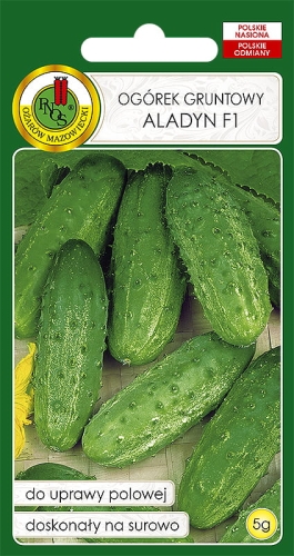 PNOS OGÓREK ALADYN 5G