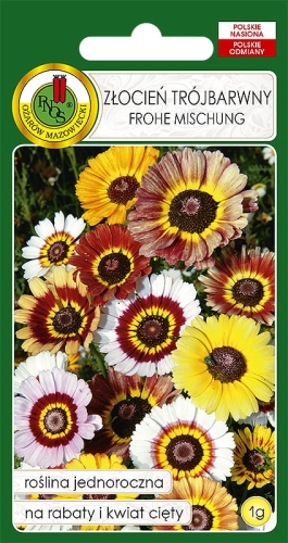 PNOS ZŁOCIEŃ TRÓJBARWNY MIESZANY 1G