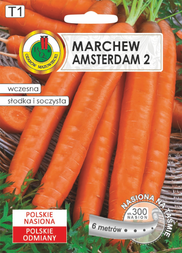 PNOS MARCHEW JADALNA AMSTERDAM 2 6m