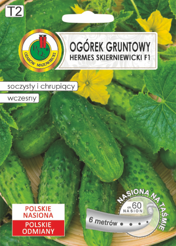 PNOS OGÓREK GRUNTOWY HERMES SKIERNIEWICKI F1 6M