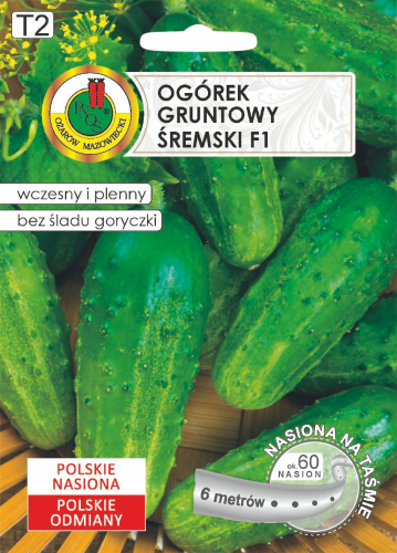 PNOS OGÓREK GRUNTOWY ŚREMSKI F1 6m