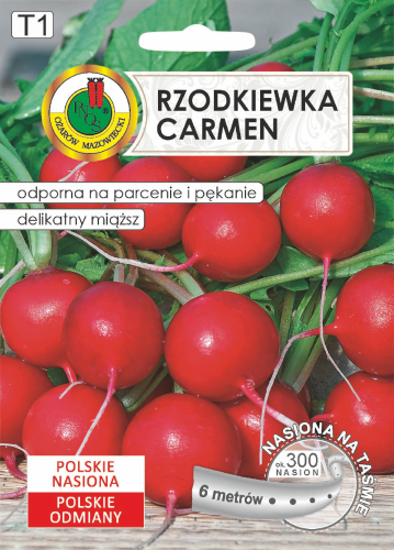 PNOS RZODKIEWKA CARMEN 6M