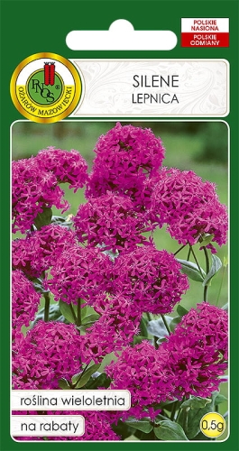 PNOS SILENE KARMINOWORÓŻOWE 0,5g
