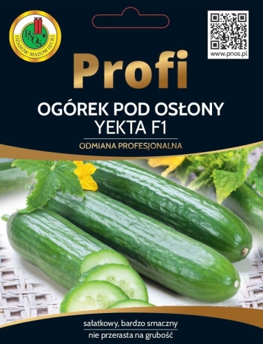 PNOS OGÓREK YEKTA 15Z