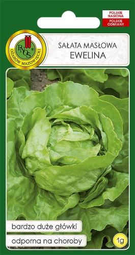 PNOS SAŁATA MASŁOWA EWELINA 1G