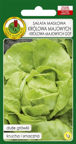 PNOS SAŁATA KRÓLOWA MAJOWYCH 1G