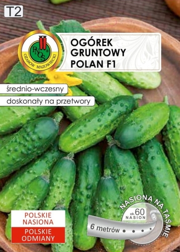 PNOS OGÓREK GRUNTOWY POLAN 6m