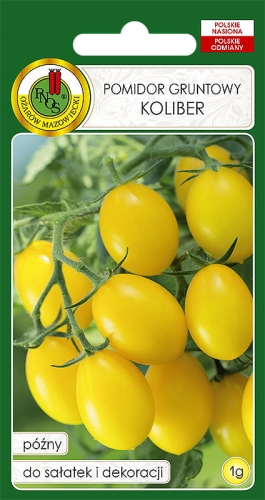 PNOS POMIDOR GRUNTOWY KOLIBER 1G
