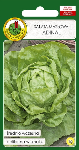 PNOS SAŁATA MASŁOWA ADINAL 1G