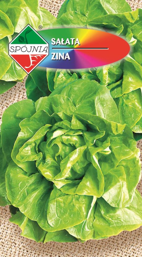 SPÓJNIA SAŁATA ZINA 2G