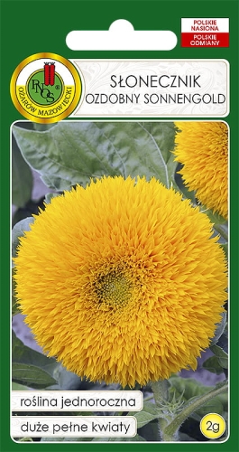 PNOS SŁONECZNIK OZDOBNY DONNENGOLD 2G