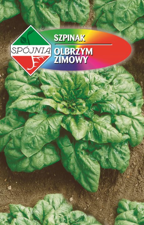 SPÓJNIA SZPINAK ZIMOWY OLBRZYM 20G