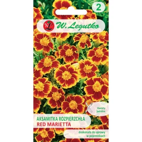 LEGUTKO AKSAMITKA RED MARIETTA 1G