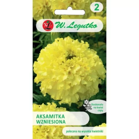 LEGUTKO AKSAMITKA ZÓŁTA PEŁNA 1G
