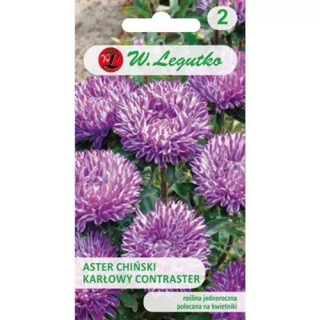 LEGUTKO ASTER CHIŃSKI BIAŁO NIEBIESKI 0,5G