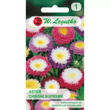 LEGUTKO ASTER CH. SUPREME MIESZ. 1 GR