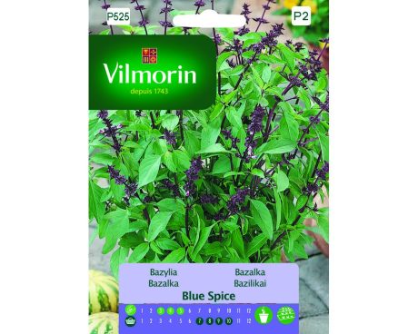 VILMORIN BAZYLIA BLUE SPICE 1G
