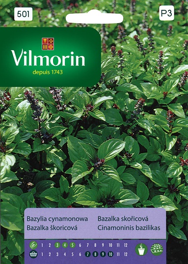 VILMORIN BAZYLIA CYNAMONOWA 0,5G