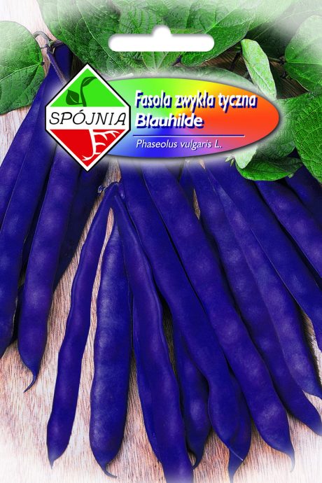 SPÓJNIA FASOLA BLAUHILDE 10G