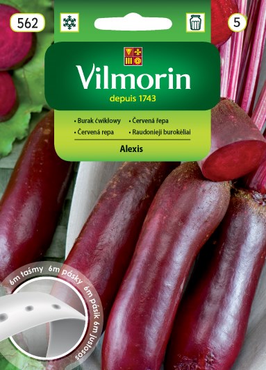 VILMORIN BURAK ĆWIKŁOWY ALEXIS TAŚMA 6M