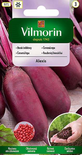 VILMORIN BURAK ĆWIKŁOWY ALEXIS OTOCZKOWANY 100Z