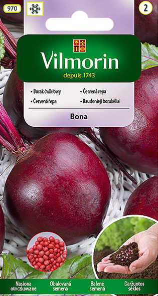 VILMORIN BURAK ĆWIKŁOWY BONA OTOCZKOWANY 100Z